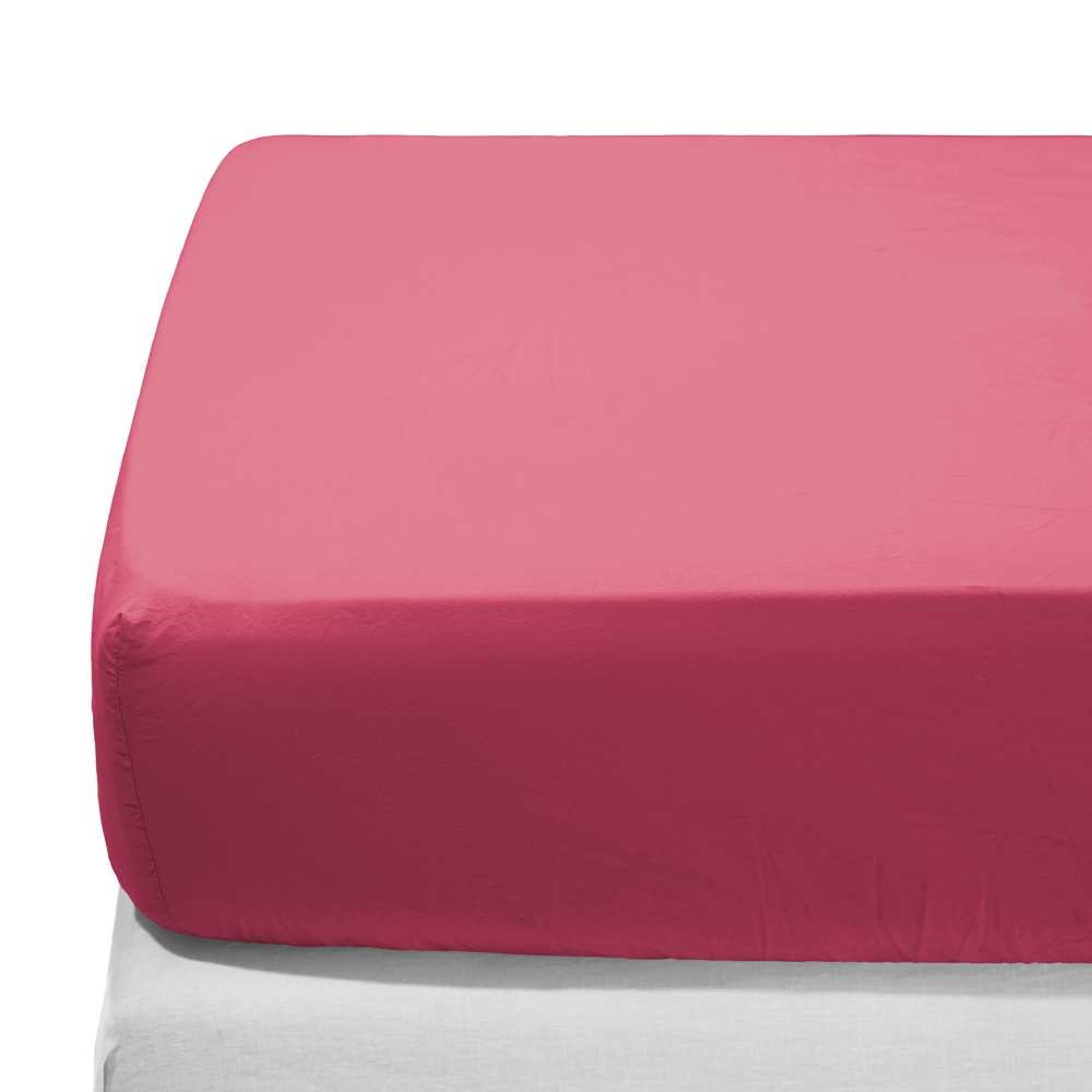 Drap-housse en percale de coton - Rose Club
