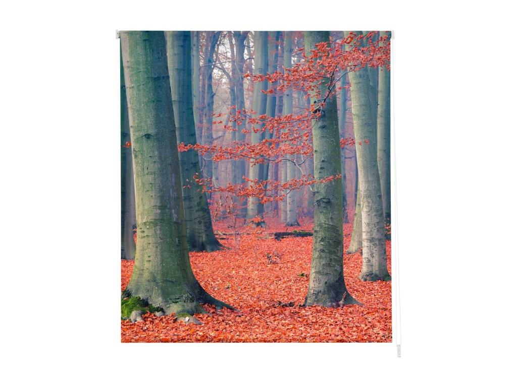 Tucasago | Estores Personalizados PAISAJES | 110 x 180 cm (Ancho por Alto) Tamaño de Tela 107 x 175 cm | Modelo P-3075 Color Unico