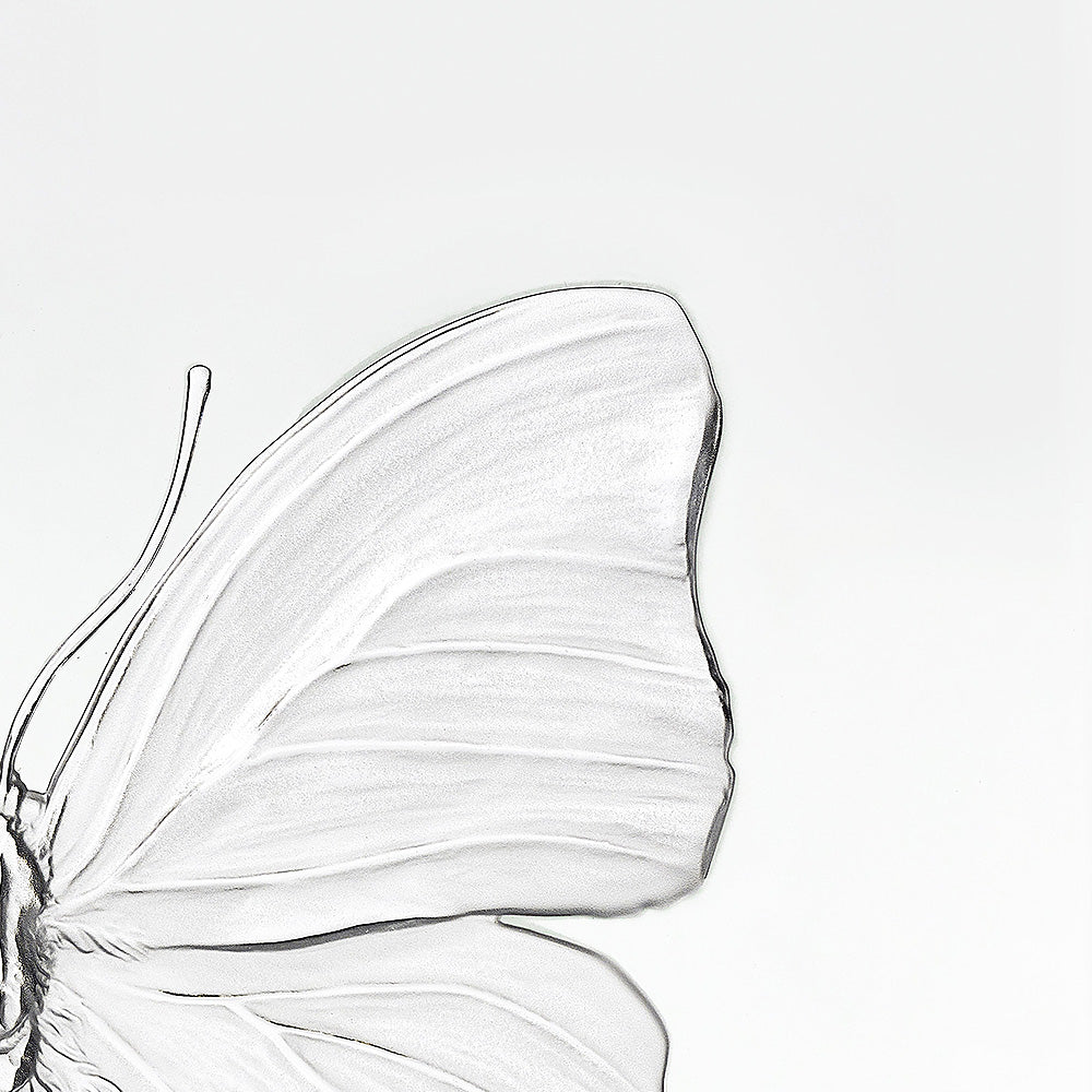 ETERNAL LOVE DAMIEN HIRST & LALIQUE 2015 - CRISTAL INCOLORE