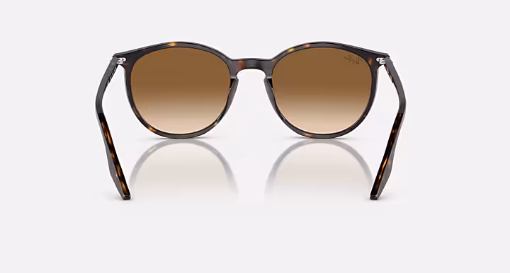 Ray-Ban RB2204