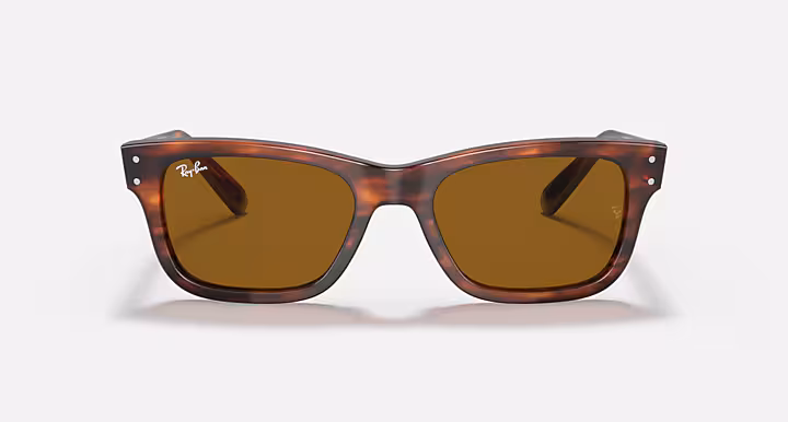 Ray-Ban BURBANK