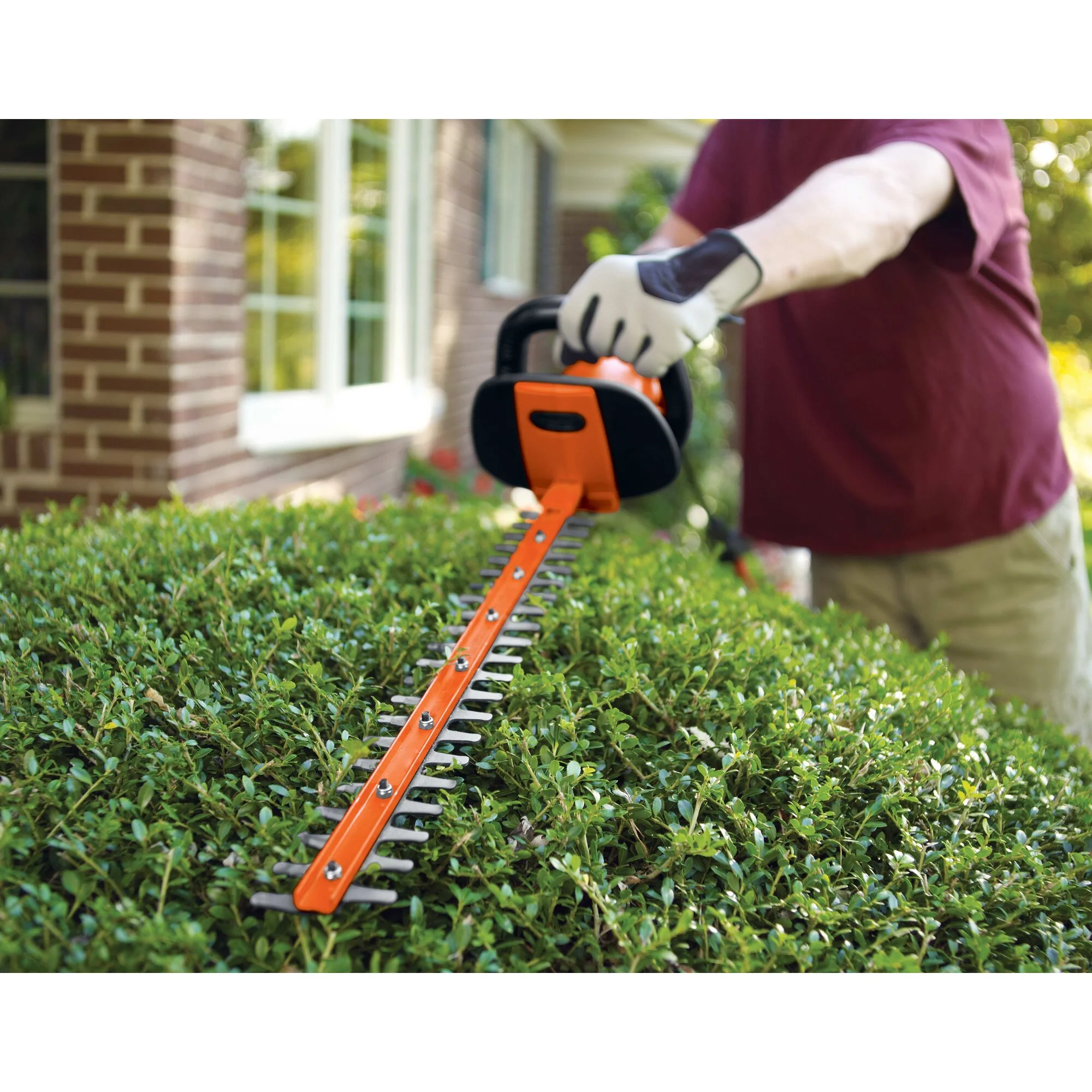 BLACK+DECKER HH2455 3.3 Amp HedgeHog 24" Hedge Trimmer with Rotating Handle - Image 4