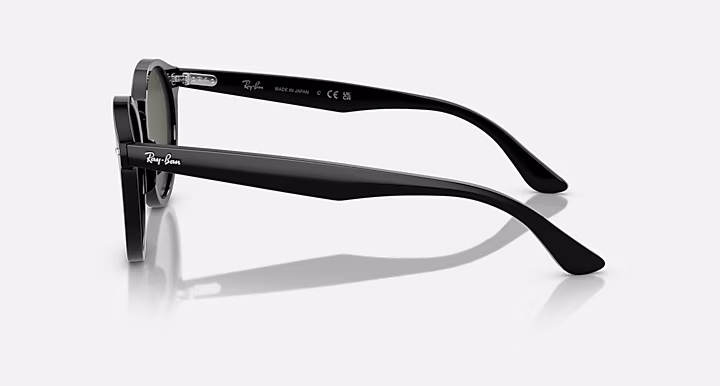 Ray-Ban LARRY