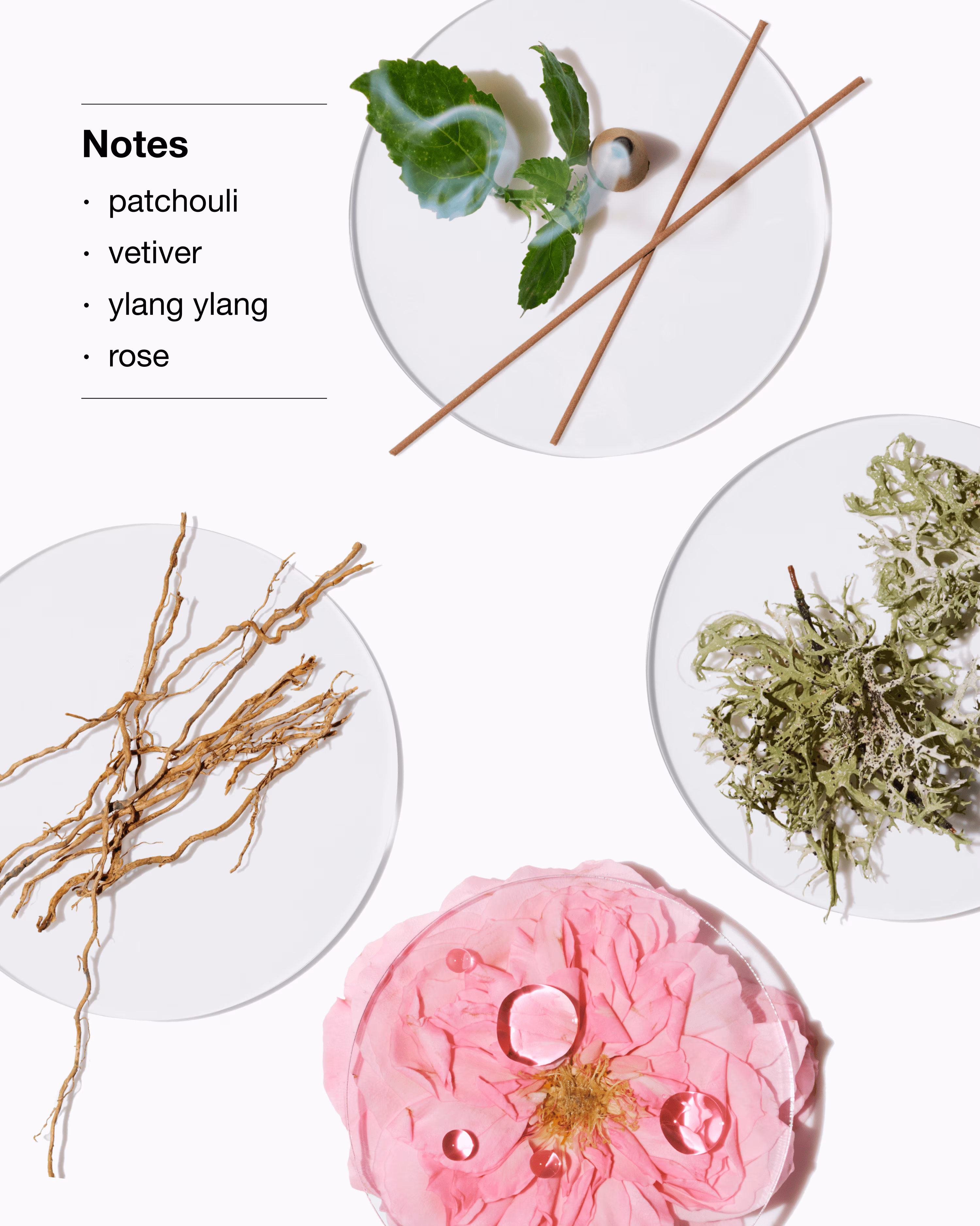 Aromatics Elixir™ Body Smoother