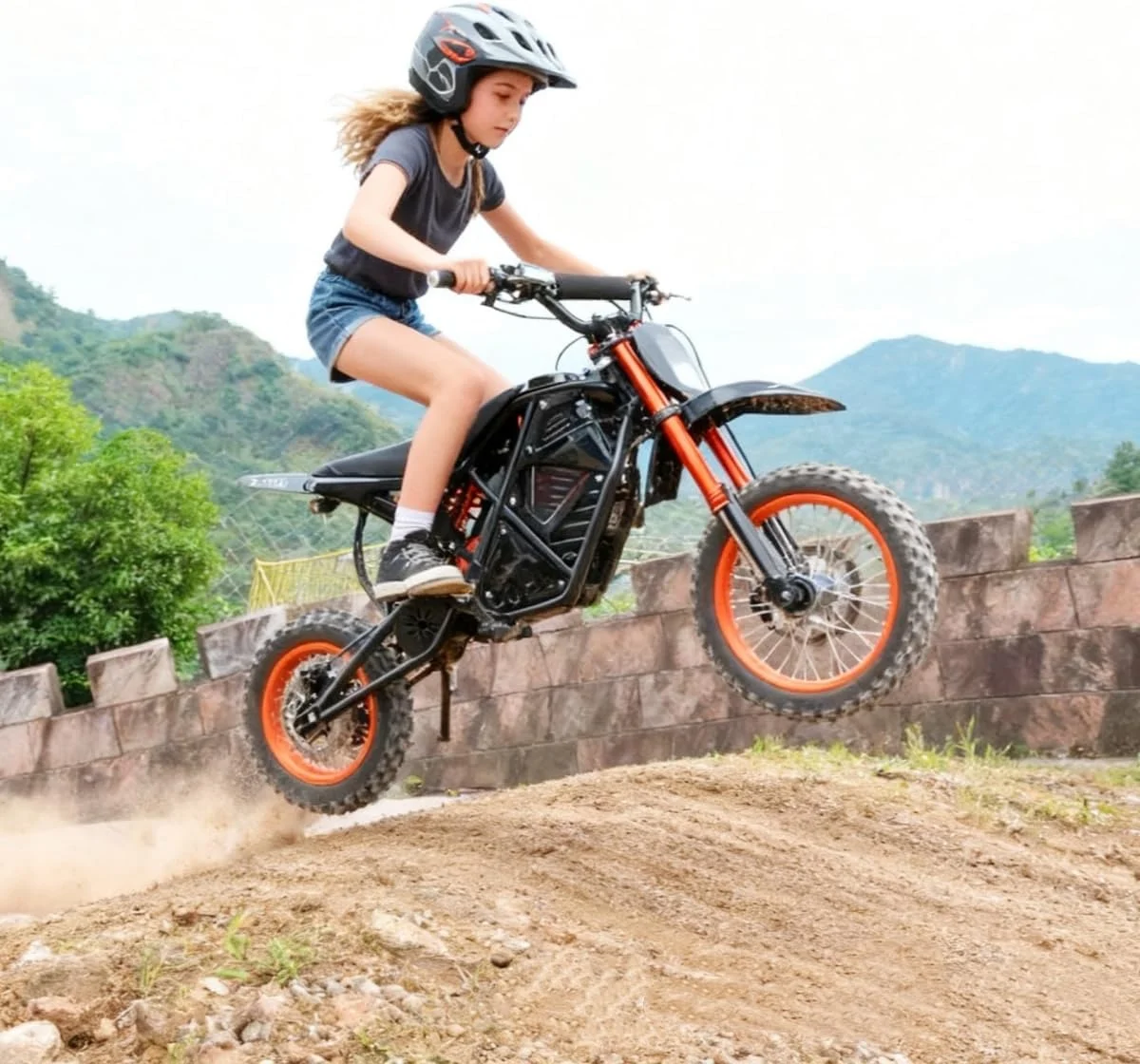 GT73 PRO 338 NM Electric Dirt Bike for Adults,3000W(Peak)Dual Motor 50Mph Max Speed,60V 50MPH 36.4AH Dual Battery Ebike,85 Miles Range, 25" Motorcycle Tires, All-Terrain for Mountain, Snow, UL2849 - Image 10