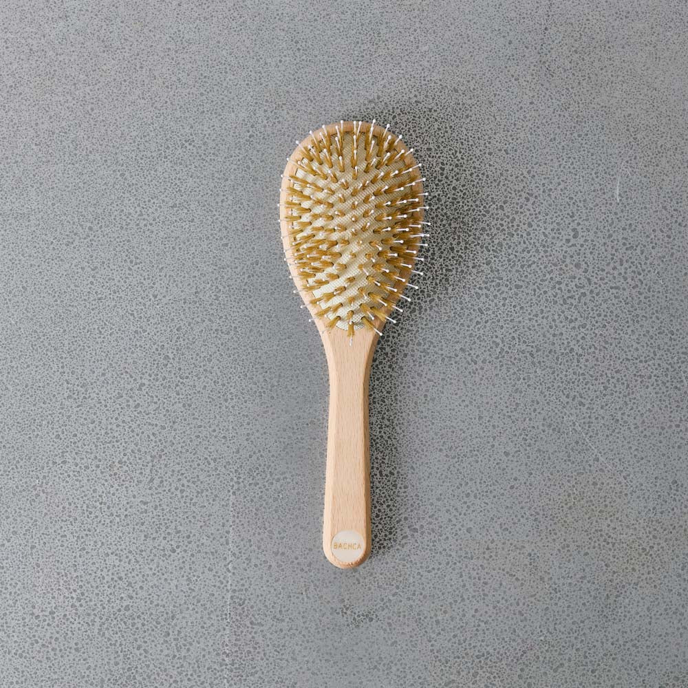 Brosse Brillance - Bachca