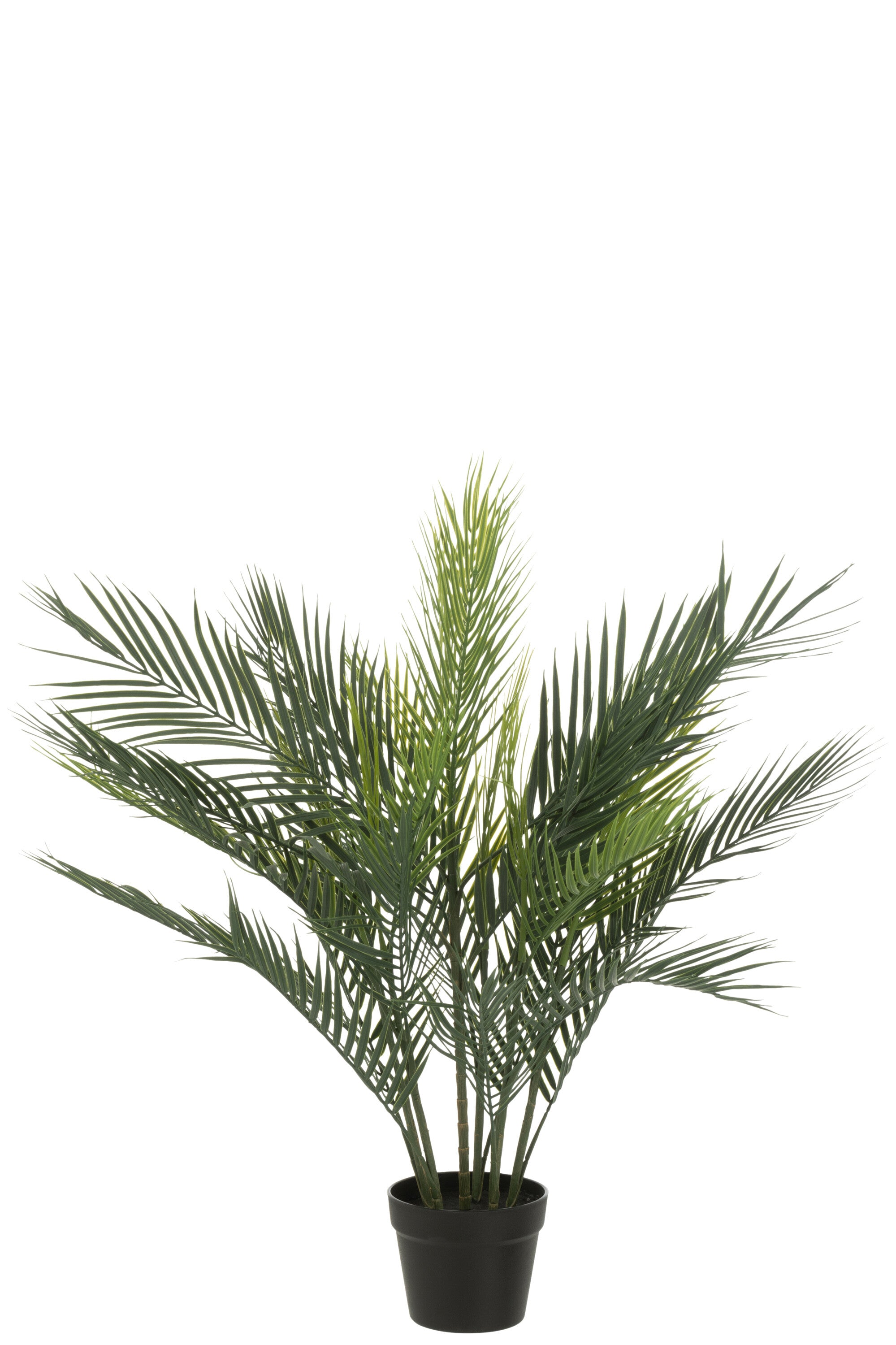 J-Line plant Palmboom - kunststof - groen