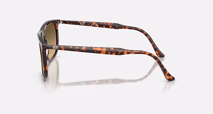 Ray-Ban RB2216