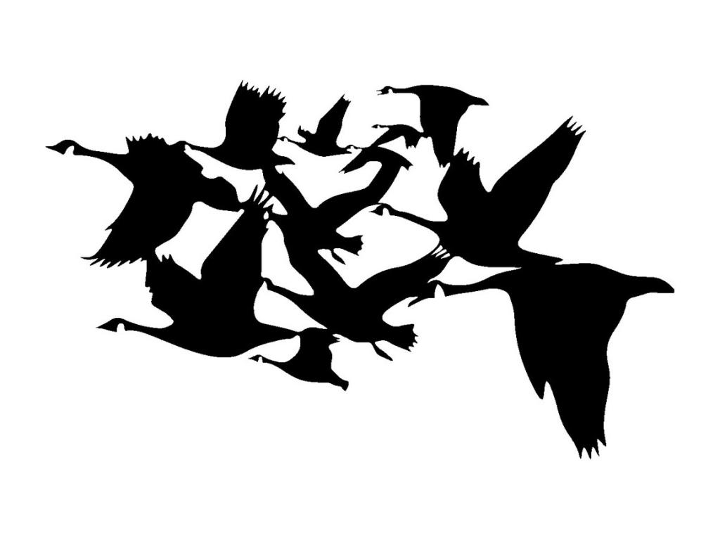 Decoración de Metal Aves 4, Negro, 82x0,15x50 cm, Casaplu