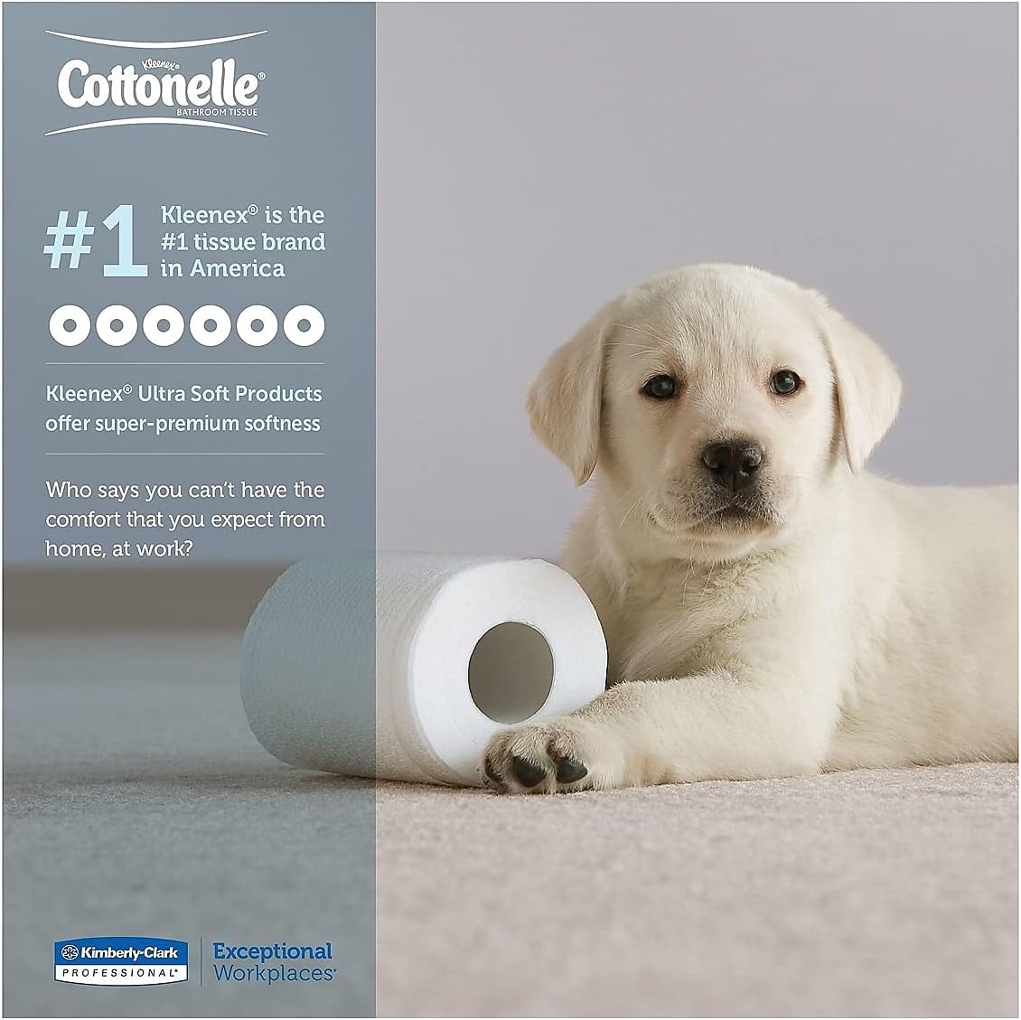 Clean Care Bathroom Tissue