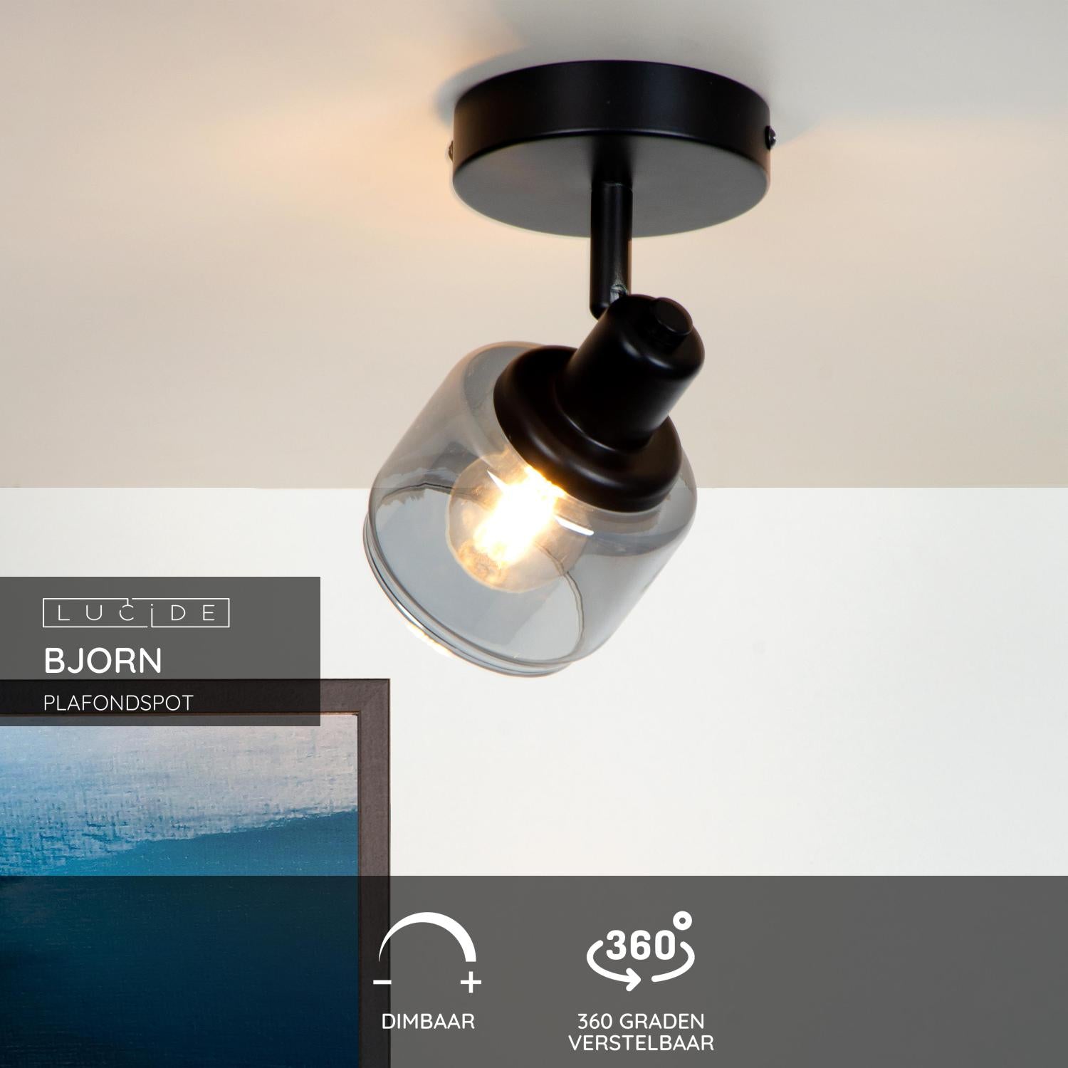 Lucide BJORN Plafondspot - Zwart