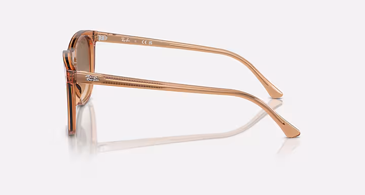 Ray-Ban RB2210