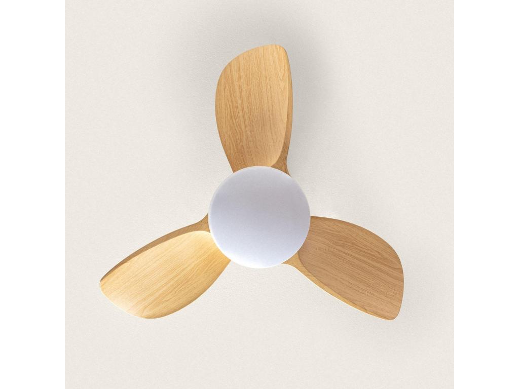 Lujodec Ventilador de Techo Silencioso Poros 76cm Motor DC
