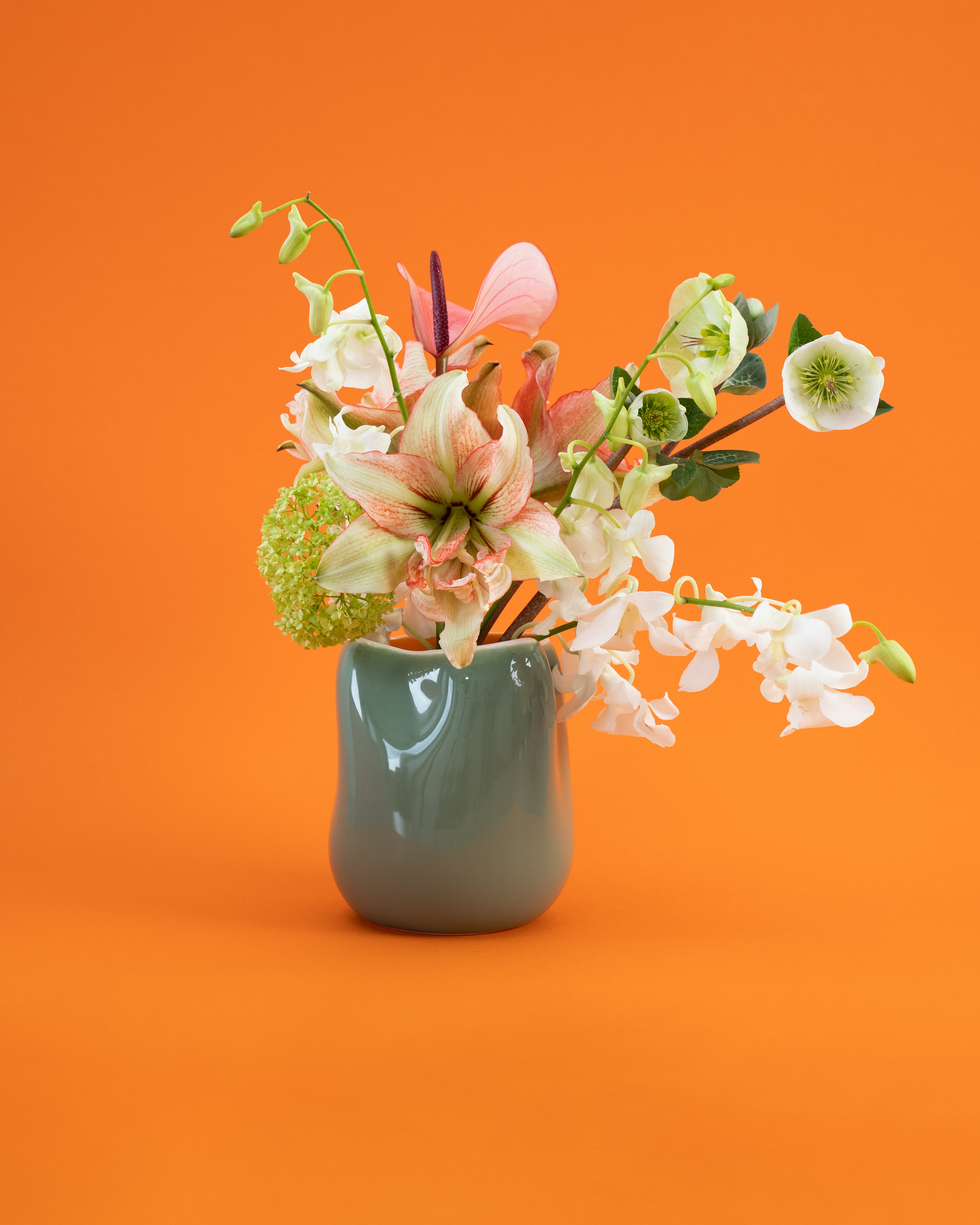 João Vase M salbei lila