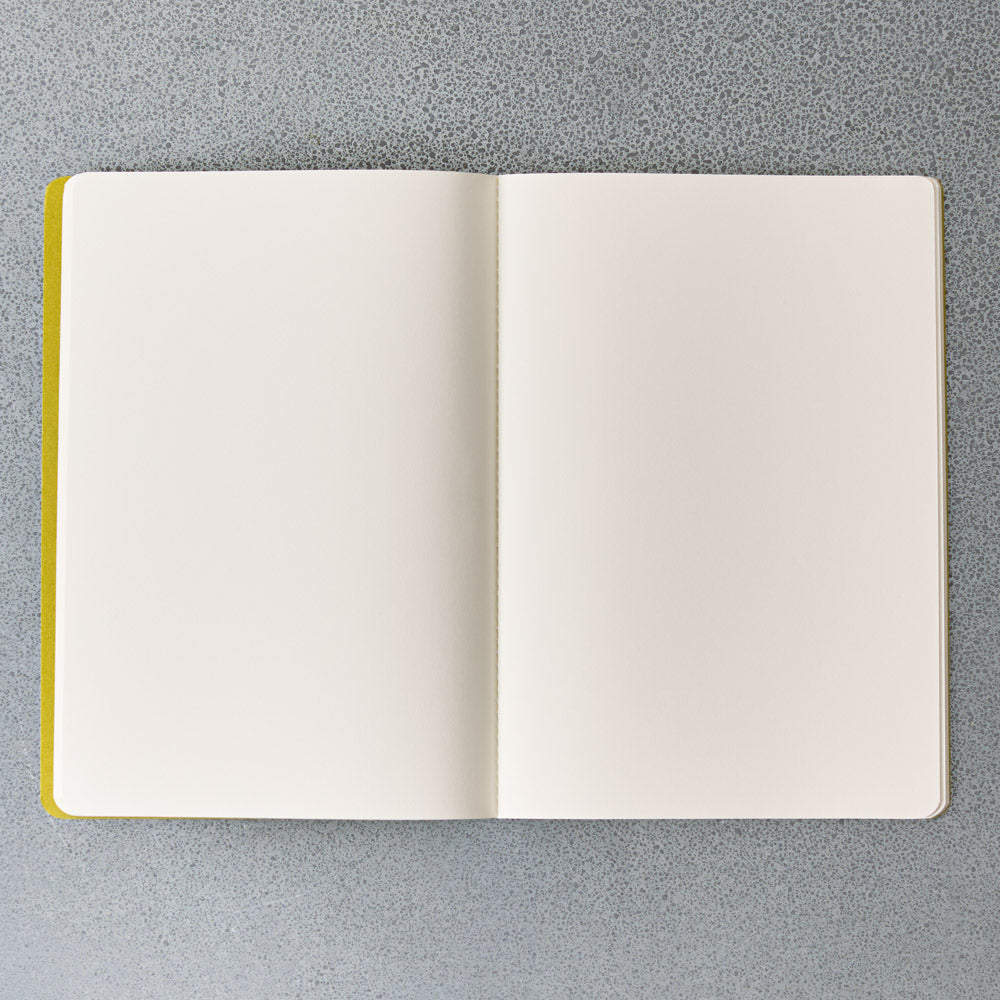 Carnet Jaune Figue De Barbarie - Apartamento