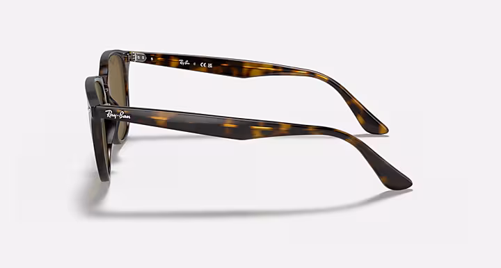 Ray-Ban RB4259