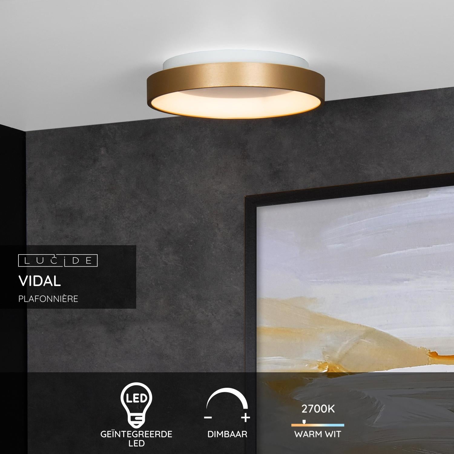 Vidal plafondlamp LED Ø28 mat goud
