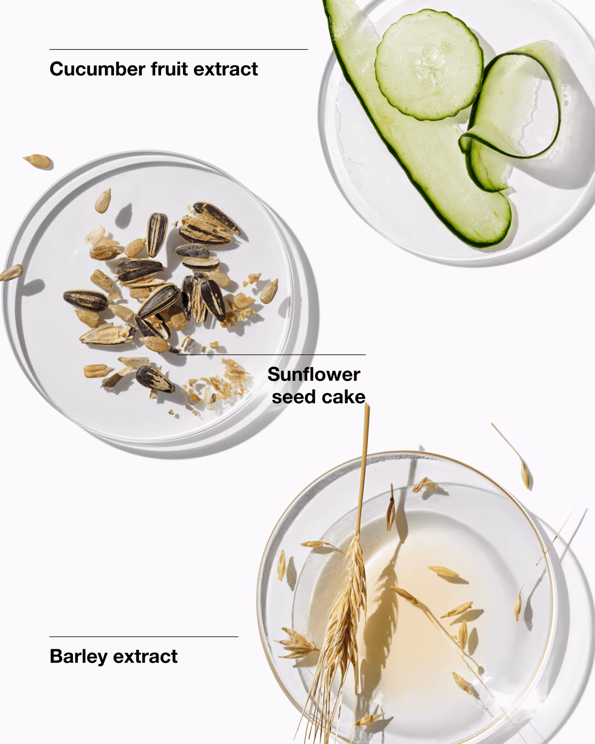 Healthy Skin Routine: Mini 3-Step Kit For Oily Skin