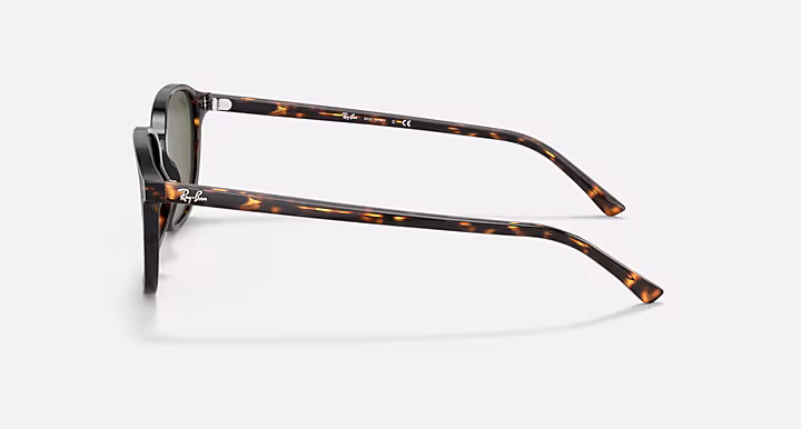 Ray-Ban LEONARD