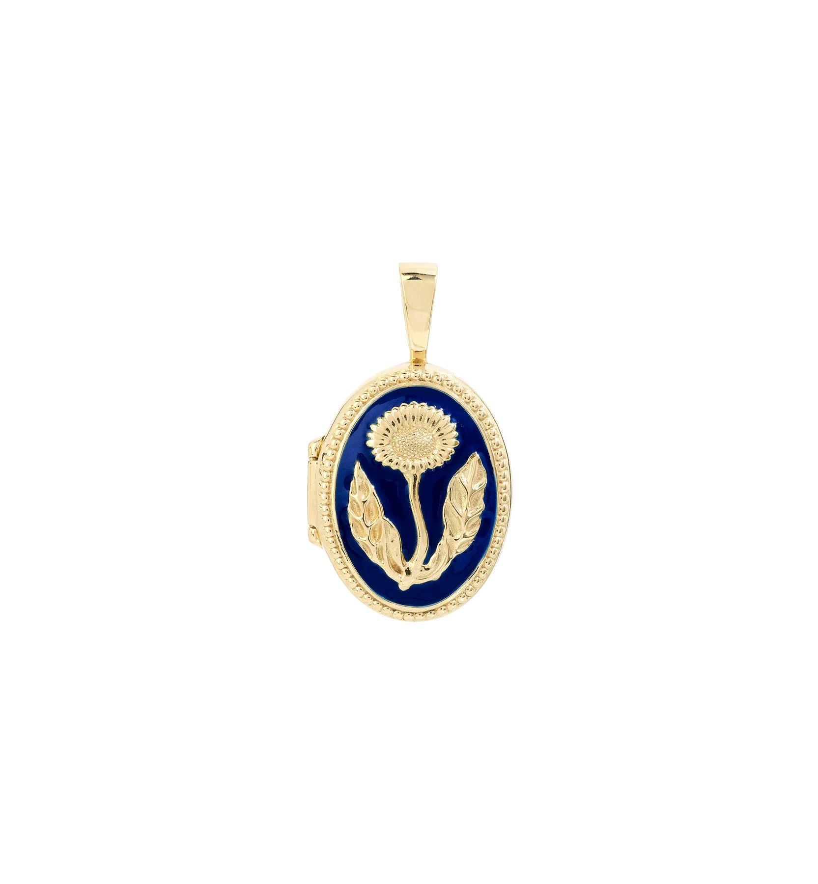 Dark Meadow Locket 14K