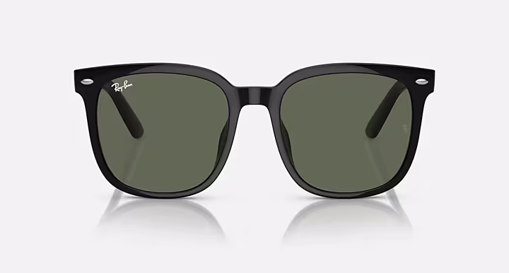 Ray-Ban RB4401D