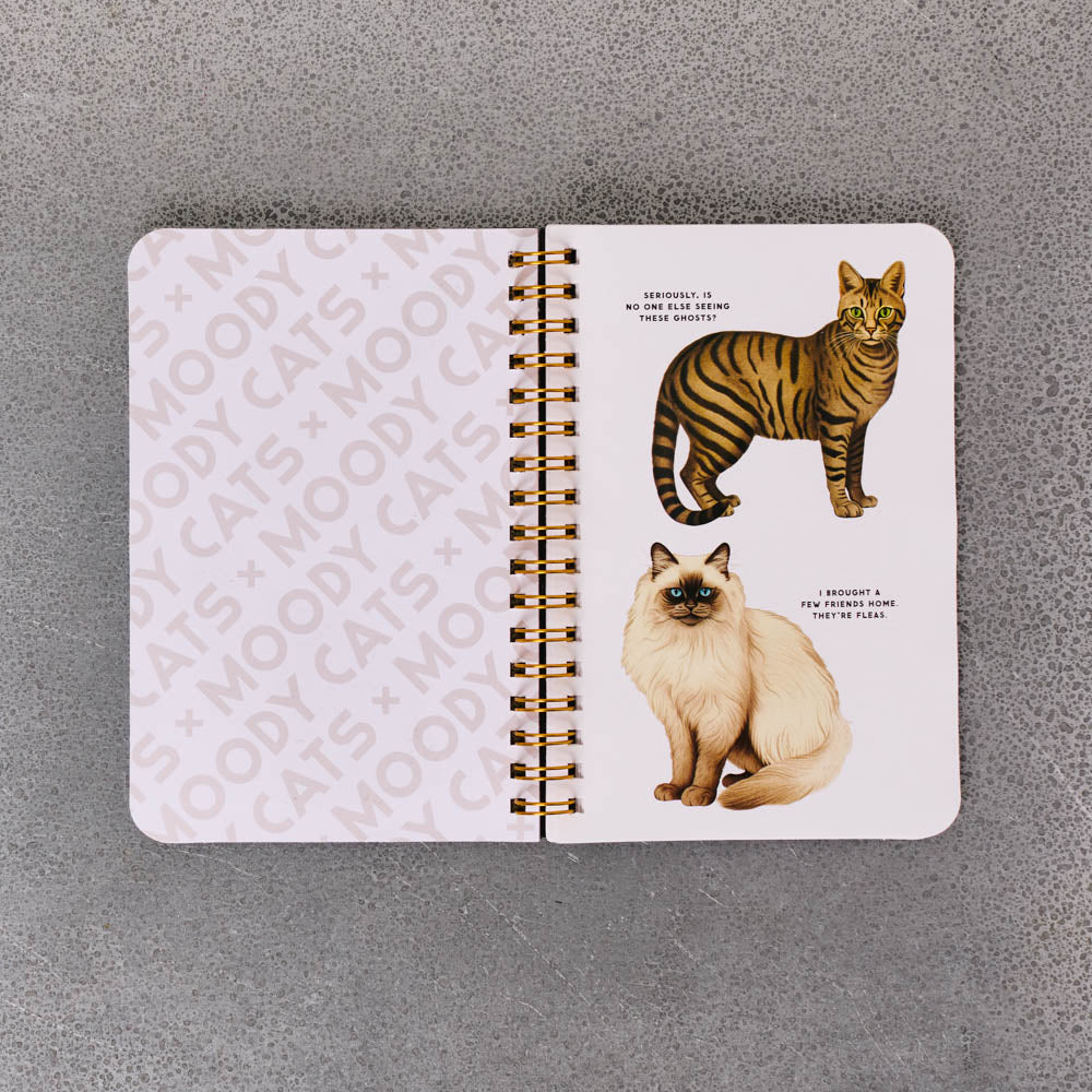 Livre - Moody Cats Stickers Book
