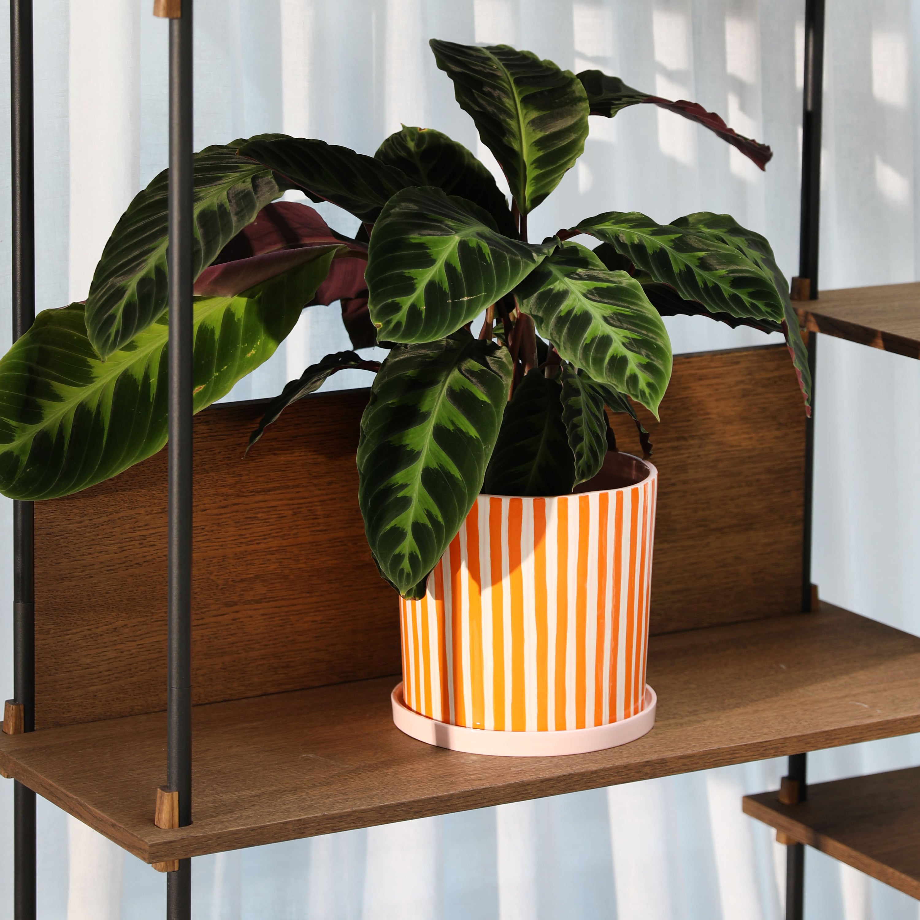 &klevering Ray Bloempot Large - Oranje