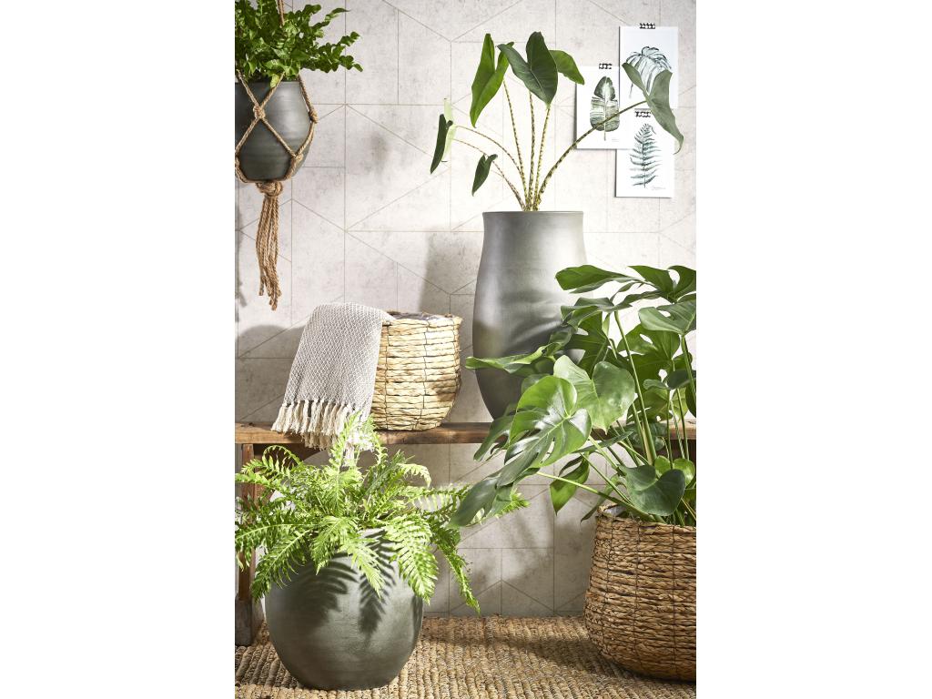 Juego de cestas para plantas de Zostera y plastico - 32 x Ø44 - Marrón claro - AVALON