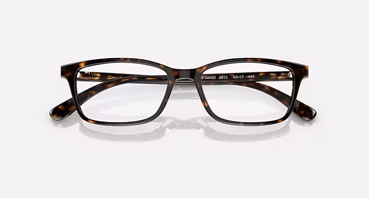 Ray-Ban RB5416 OPTICS