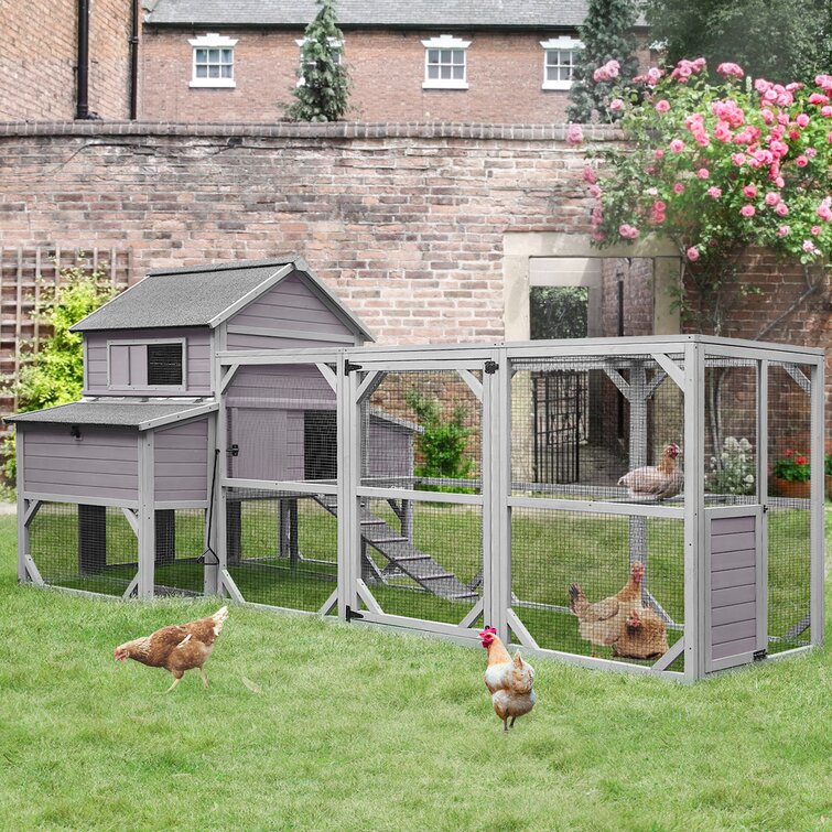 WAYFAIR Anyi 59 Square Feet Chicken Coop With Chicken Run