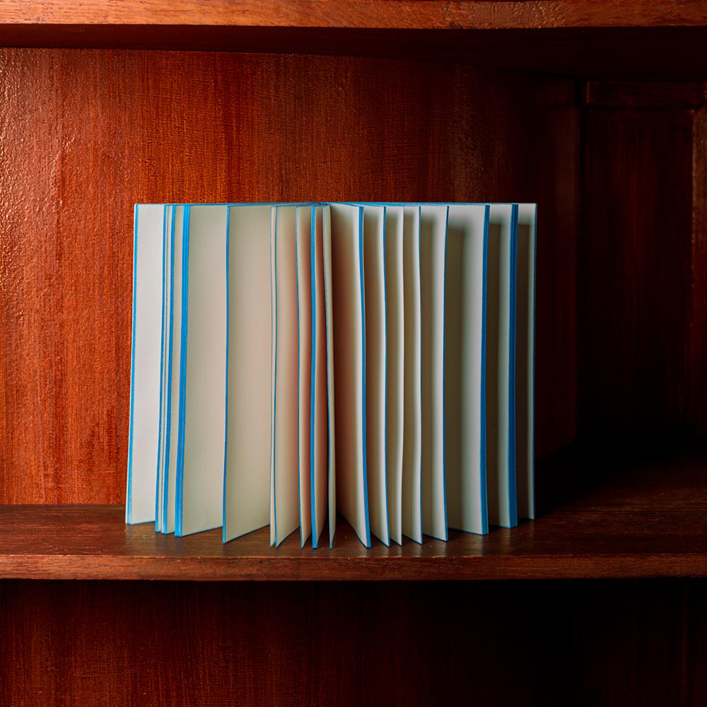 Carnet Moby Dick