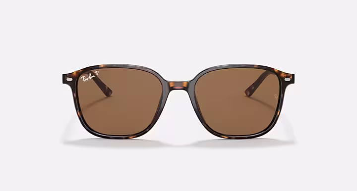Ray-Ban LEONARD