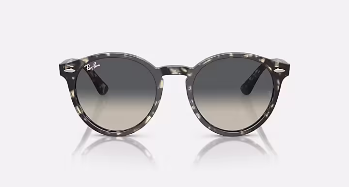 Ray-Ban LARRY