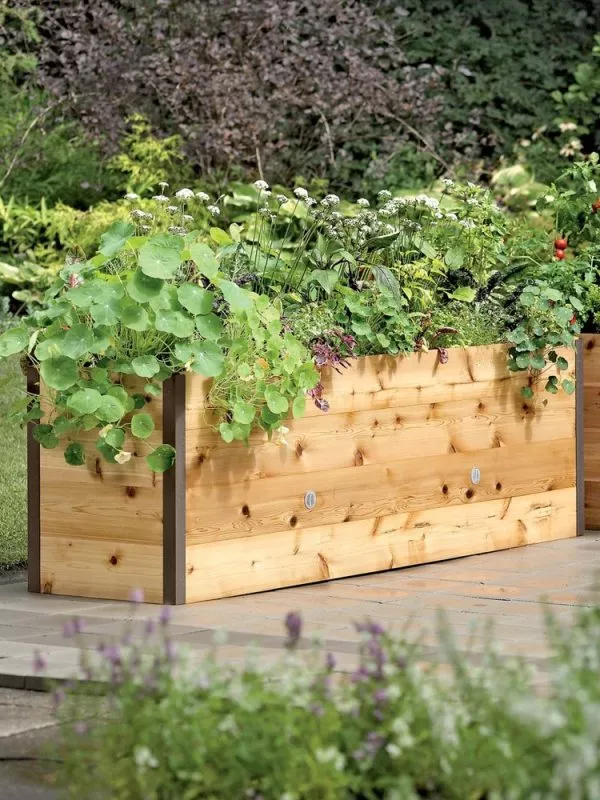 AnkerfieldSelf-Watering Eco-Stained Elevated Planter Box
