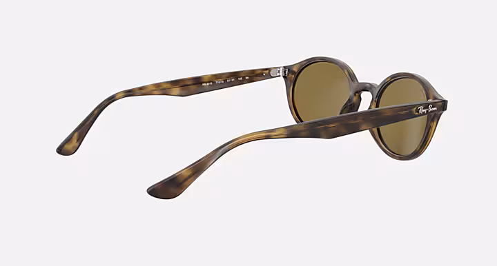 Ray-Ban RB4315