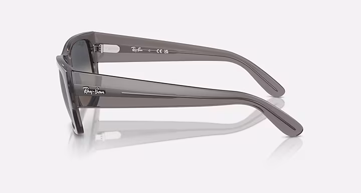 Ray-Ban CARLOS