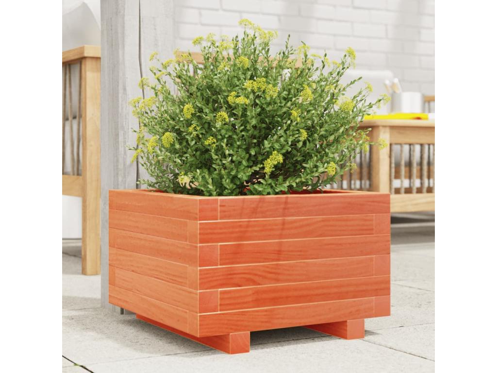 Decoratodo madera maciza de pino marrón cera 40x40x26,5 cm