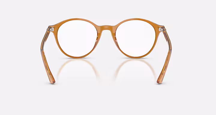 Ray-Ban BERNARD OPTICS