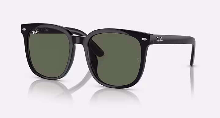 Ray-Ban RB4401D