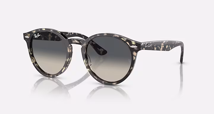 Ray-Ban LARRY