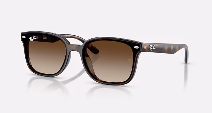 Ray-Ban RB4461D