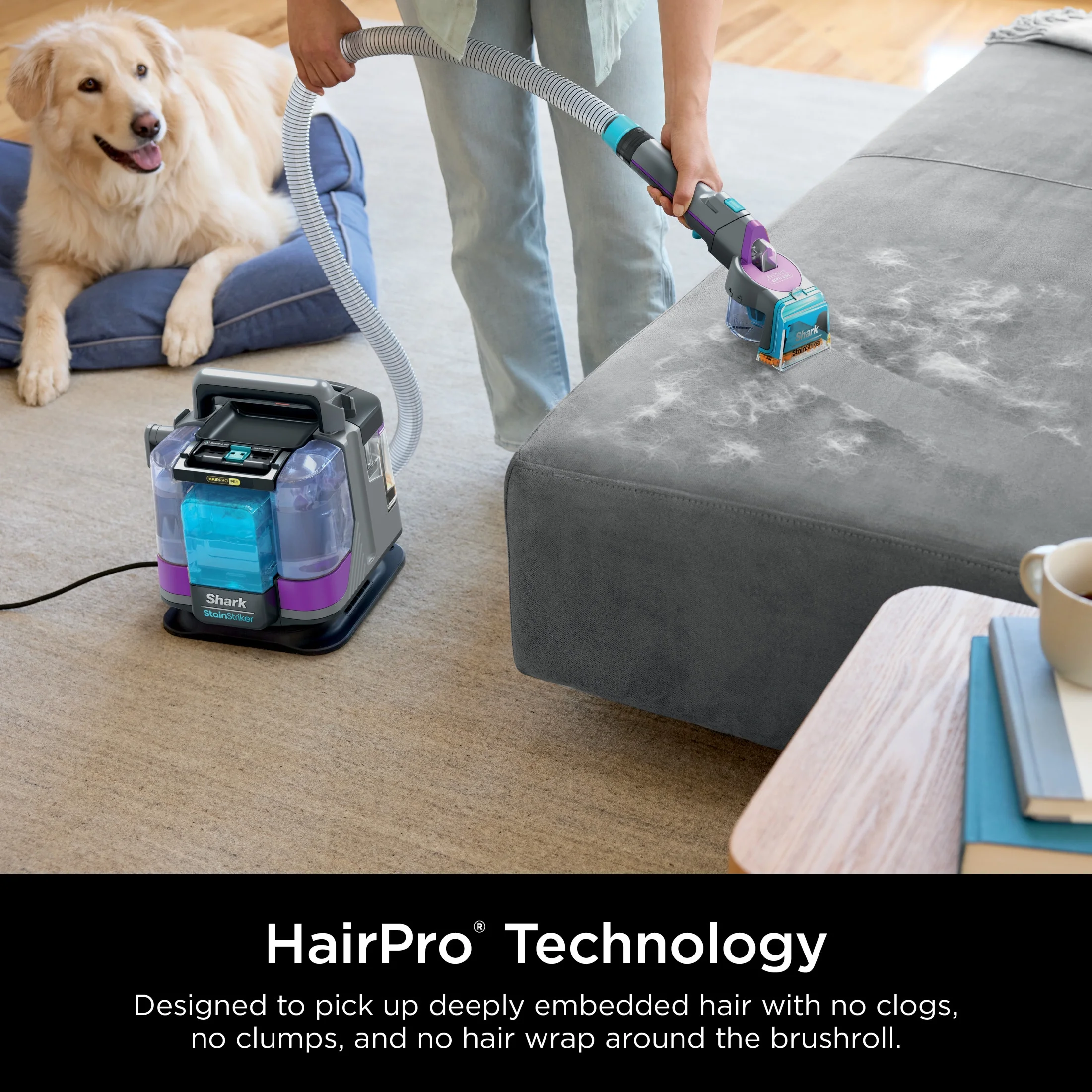 Shark StainStriker HairPro Carpet and Upholstery Cleaner, Portable with 3 Tools, 6oz Deep Clean Pro Formula and 12oz OXY Multiplier Formula, PX250 Dark Silver/Fuchsia - Image 3