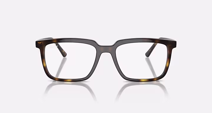 Ray-Ban ALAIN OPTICS
