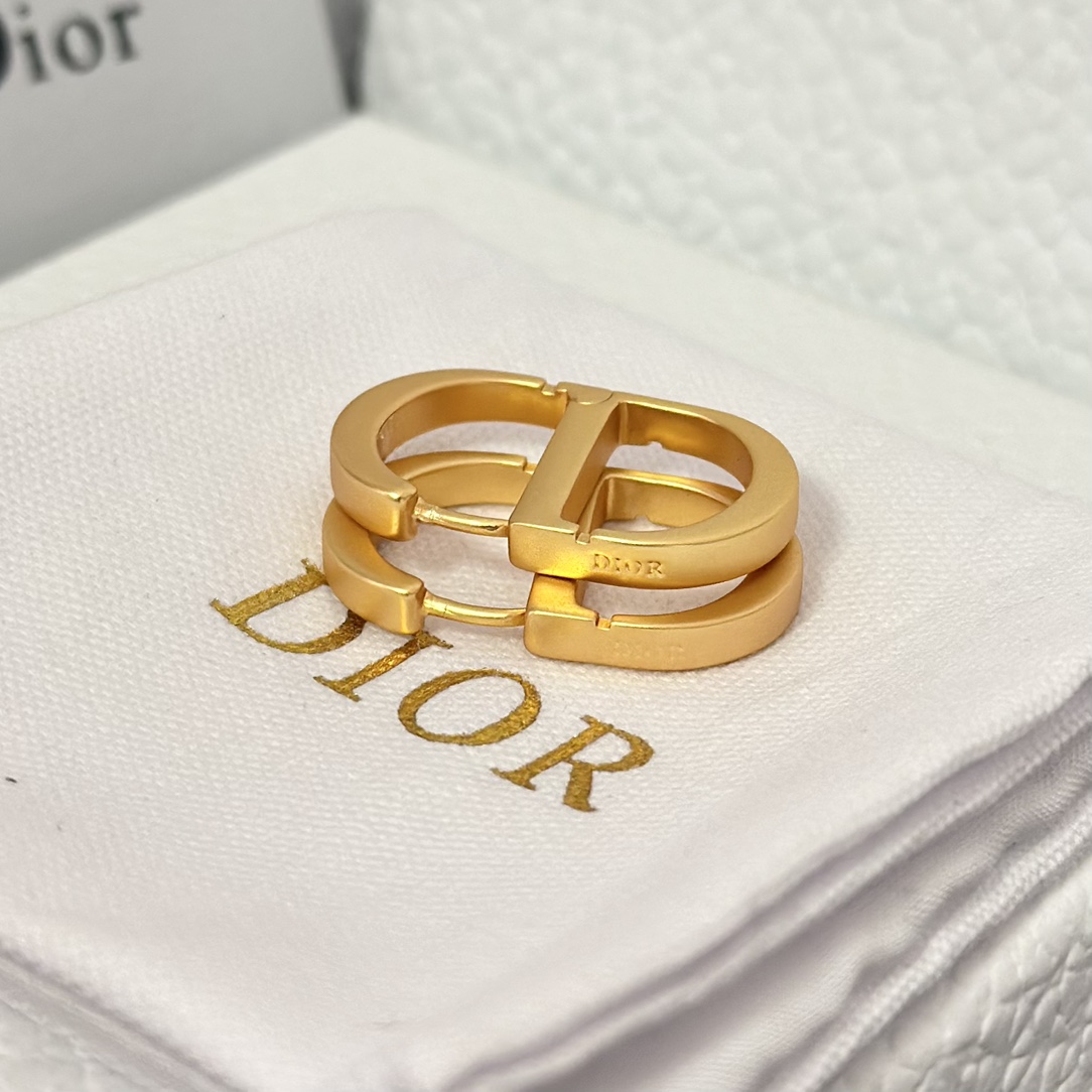 Dior Minimalistic CD Stud Earrings - Original Replica Club