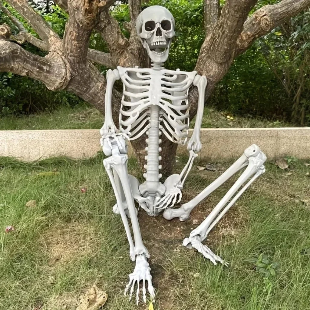 Halloween Decoration Skeleton Figure Life-Size Display - Image 2 Halloween Decoration Skeleton Figure Life-Size Display - Image 2