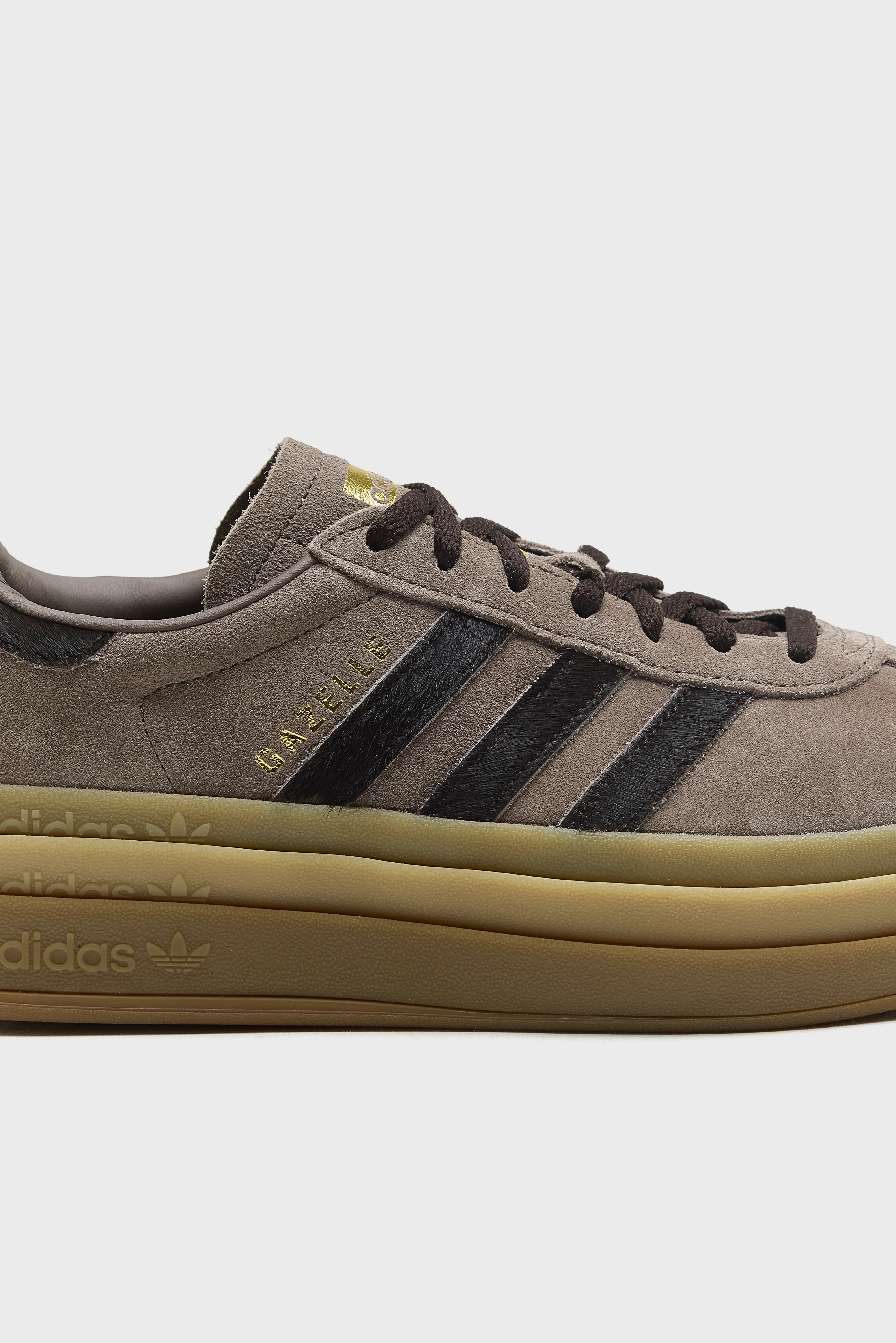 Bellerose Gazelle Bold for Women  (261 / W / COFFEE)