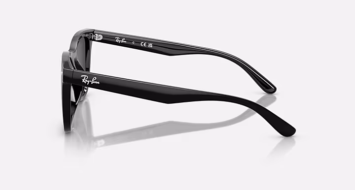 Ray-Ban RB4420