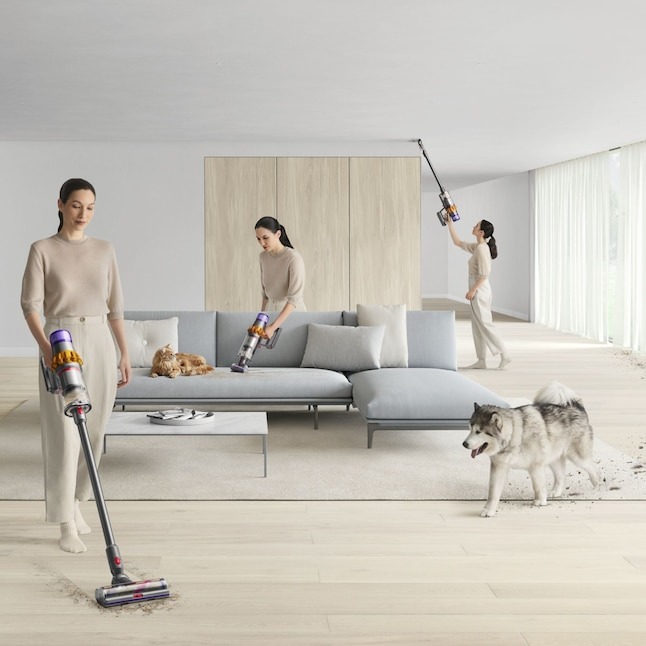 WAYFAIR Dyson V15 Cordless Pet Stick Vacuum (Convertible To Handheld)