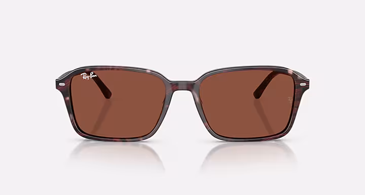 Ray-Ban RAIMOND