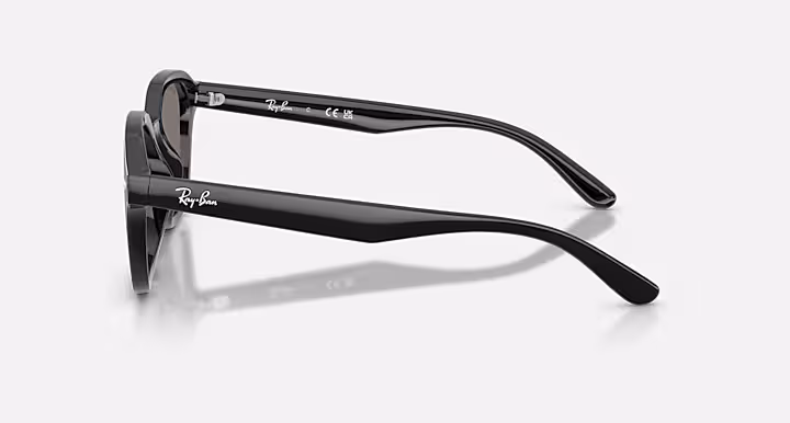 Ray-Ban RB4458D